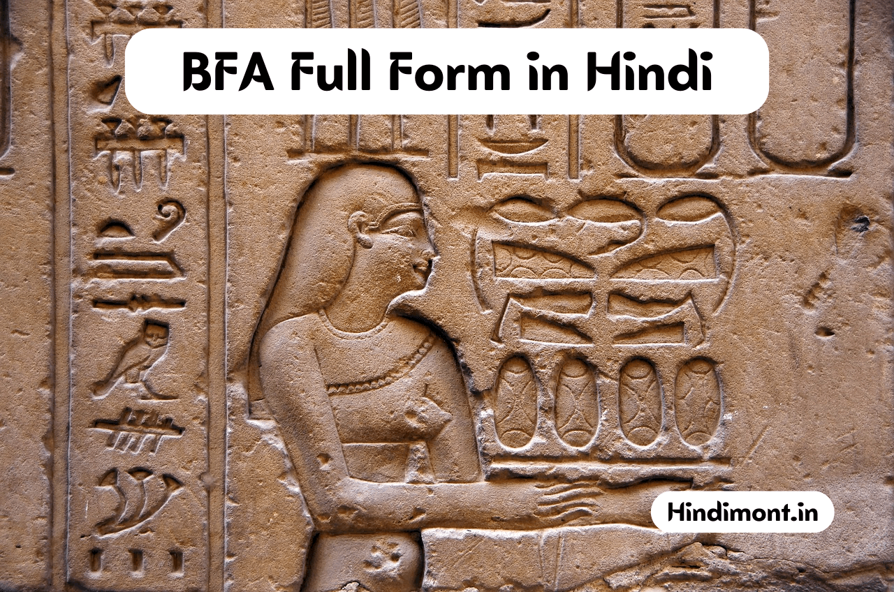 BFA Full Form in Hindi