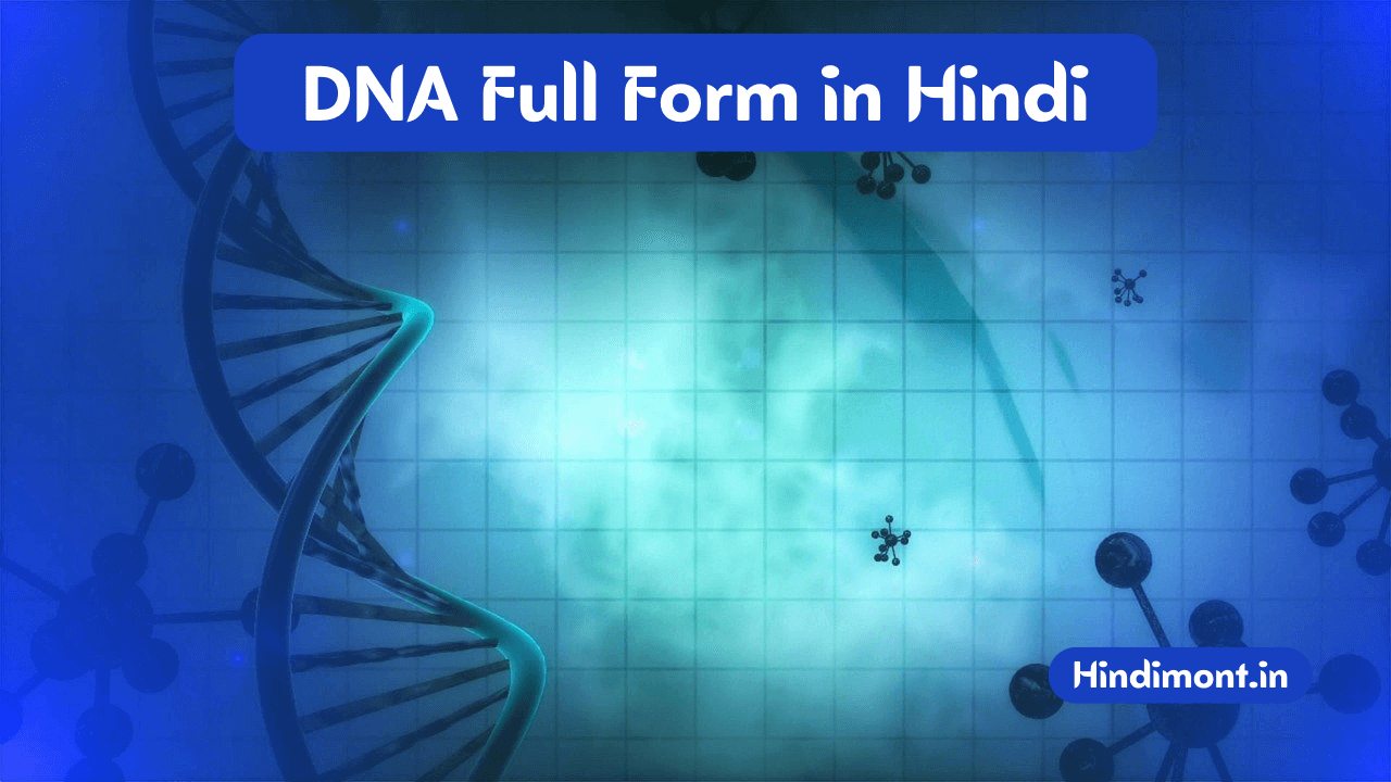 DNA Full Form in Hindi