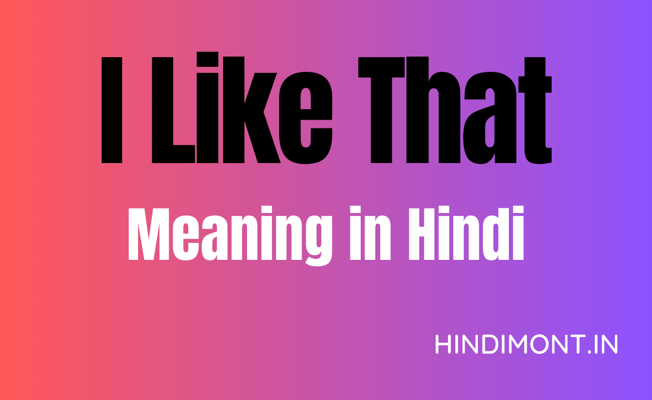 I Like That This Meaning In Hindi