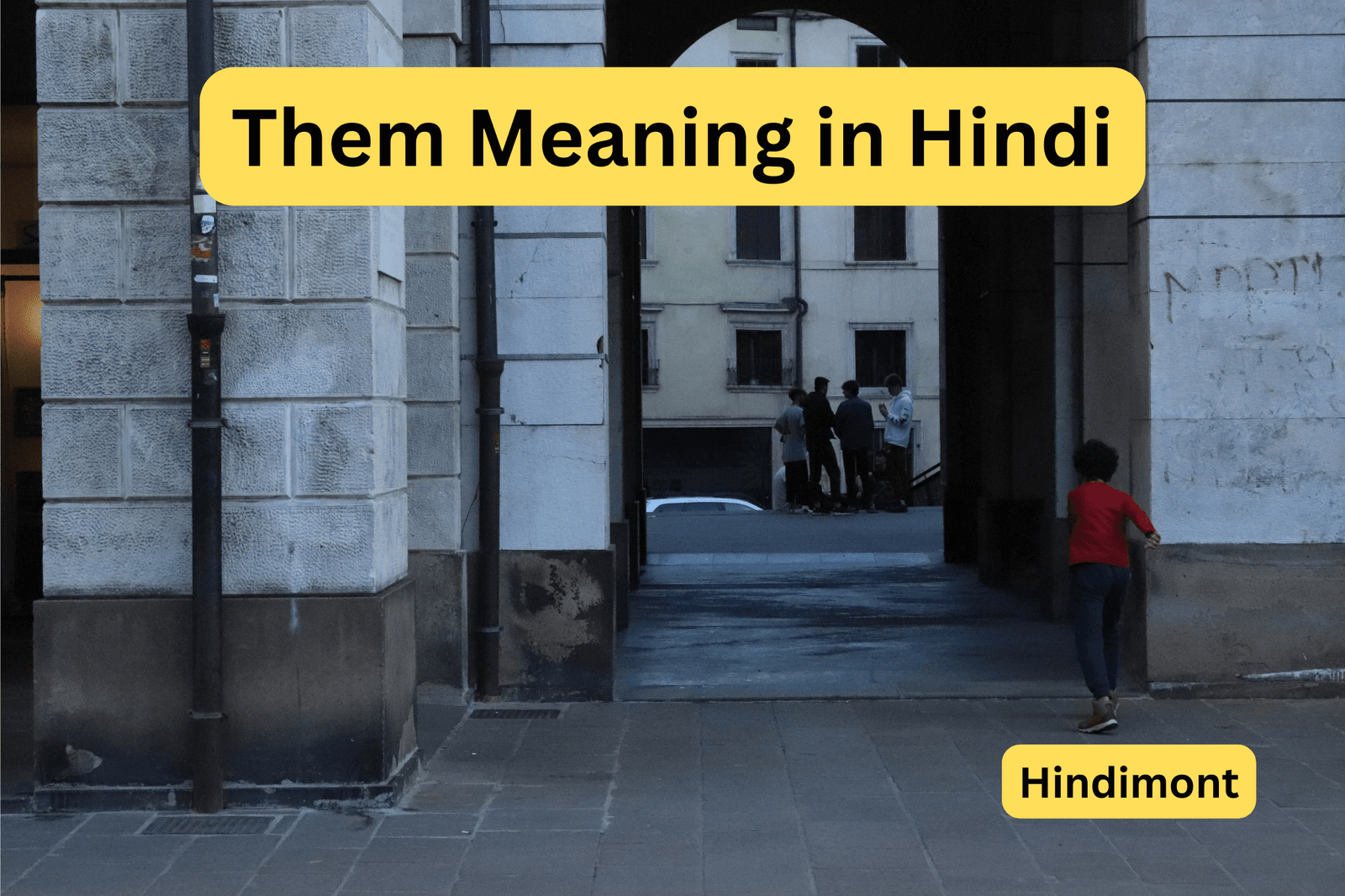 Them Meaning in Hindi