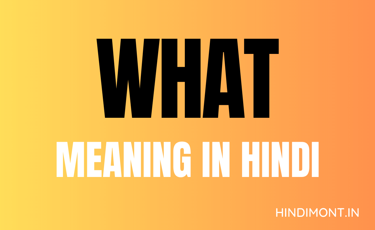 WHAT Meaning In Hindi