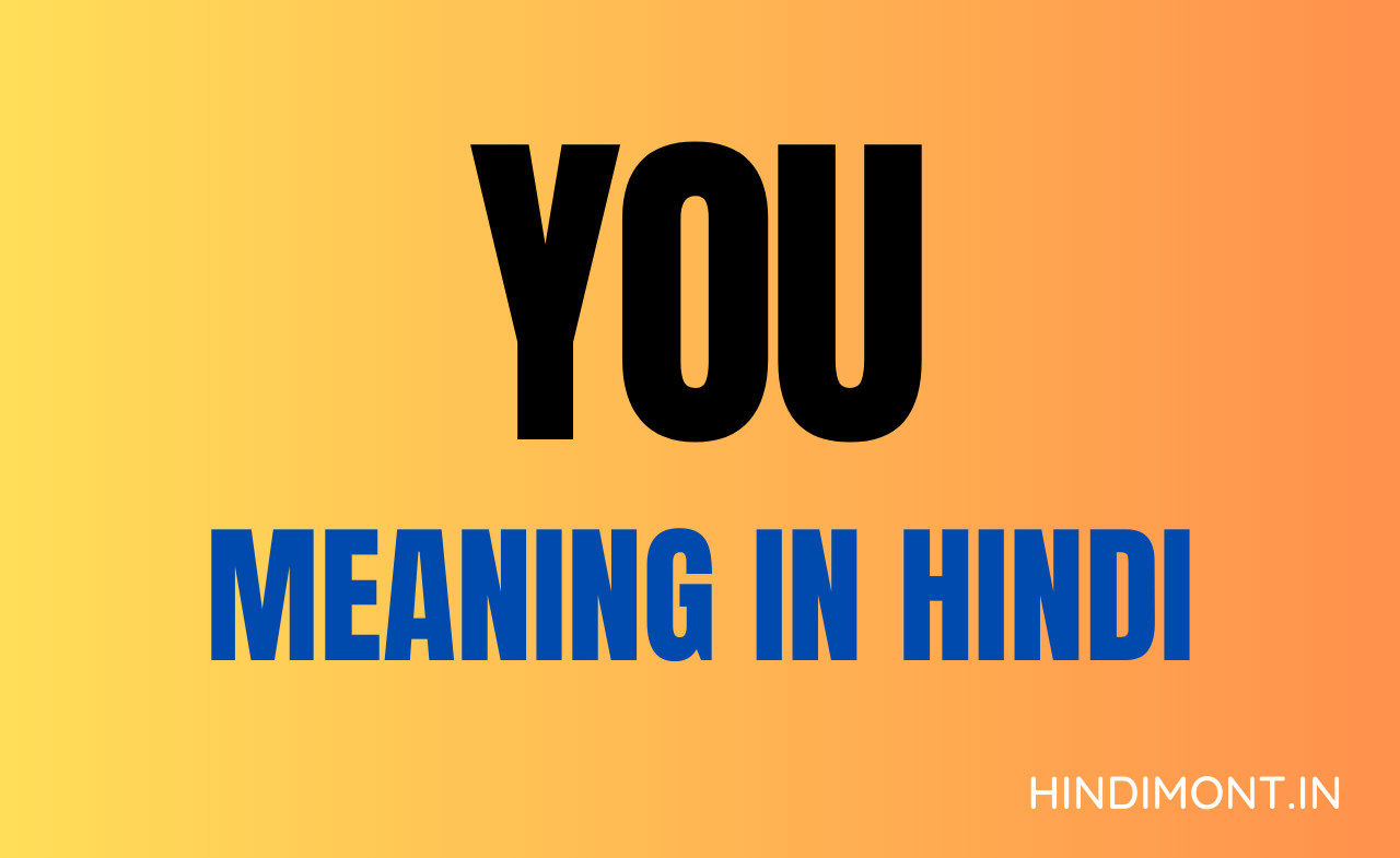 YOU Meaning In Hindi